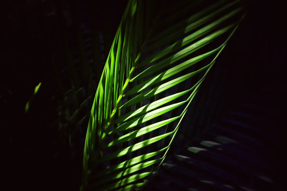 Landing page design displayed on a screen